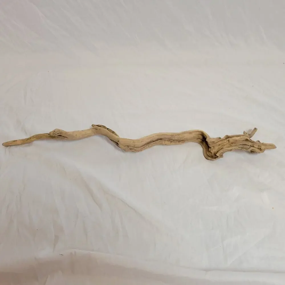 Ohio River Driftwood 27